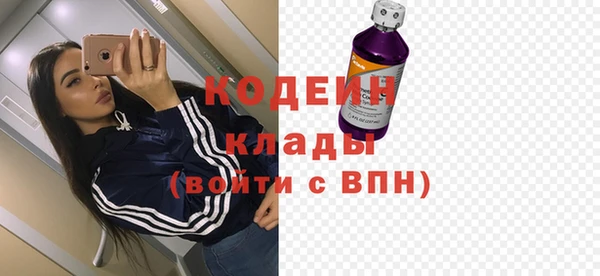 гашик Вяземский