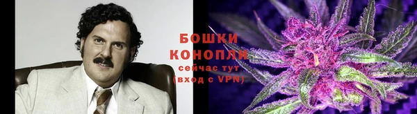 apvp Осинники