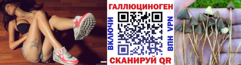 Галлюциногенные грибы мухоморы  Анжеро-Судженск 