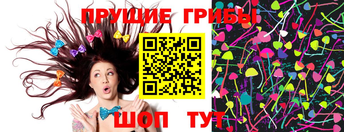 Галлюциногенные грибы GOLDEN TEACHER  Вход с VPN  Анжеро-Судженск  Псилоцибиновые грибы мицелий 