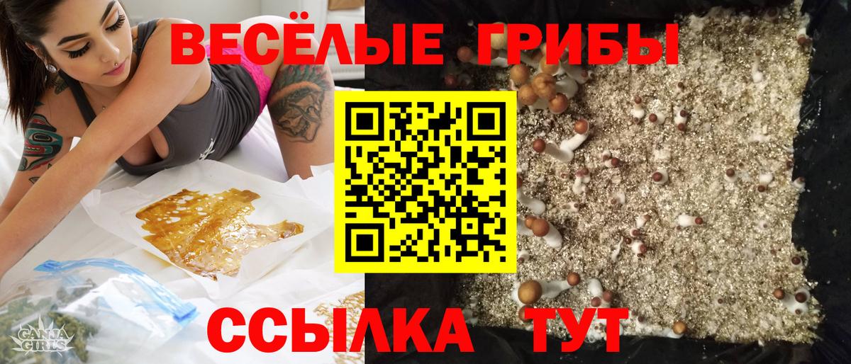 Галлюциногенные грибы ЛСД Анжеро-Судженск