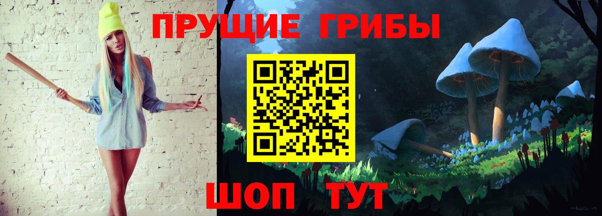 Псилоцибиновые грибы мицелий Анжеро-Судженск