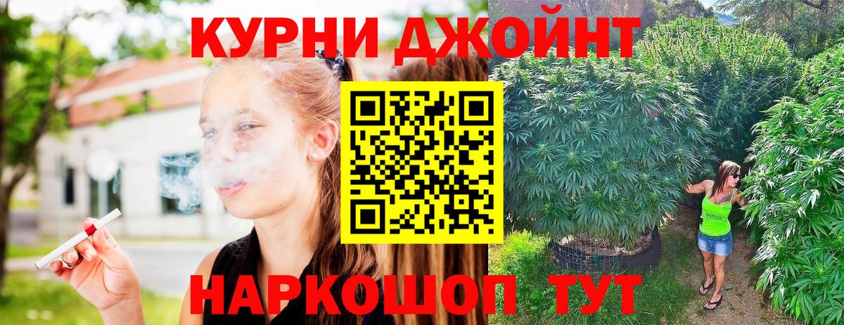 МАРИХУАНА семена  Вход с VPN  Марихуана план  Анжеро-Судженск  Канабис Amnesia  Бошки Шишки SATIVA & INDICA 